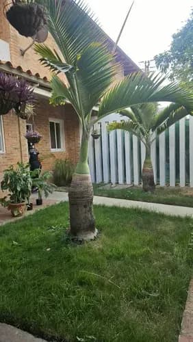 Se Alquila Casa Amoblada. Urb Cantarrana Maracay Edo Aragua