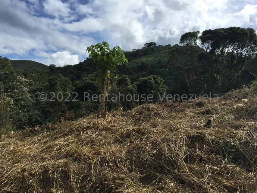 Terreno (Residencial) en Venta en Karimao Country, Distrito Metropolitano