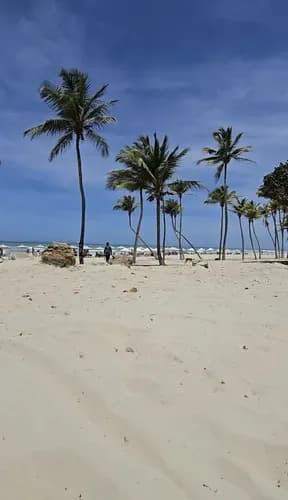 Parcela Playa El Agua Con Bienhechurias