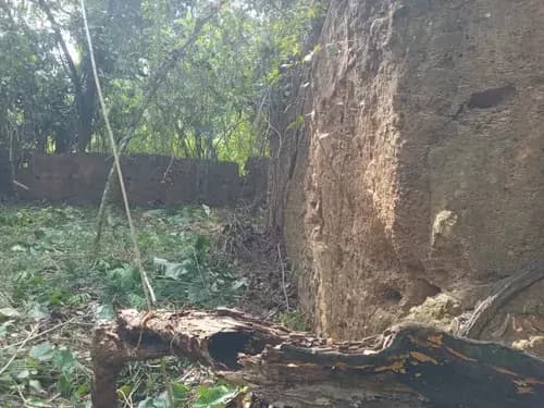 Venta De Lote De Terreno En Urb. Karimao Country, Municipio Sucre