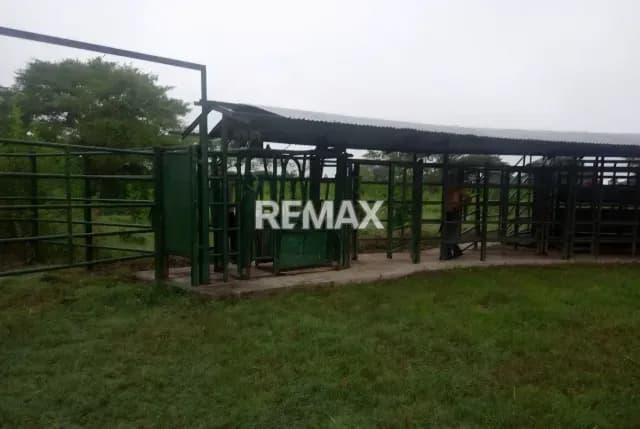 Venta de finca 130 hectáreas Vía Lagunitas