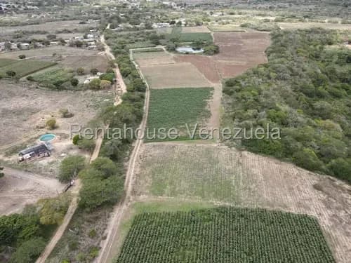 Finca Agrícola En Venta: 17 Hectáreas Productivas Barquisimeto //# Mónica Carrasquel / 26-18819