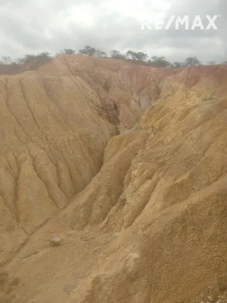 Terreno en Venta Cerro Los Matheus Parroquia Diego de Lozada - Quibor