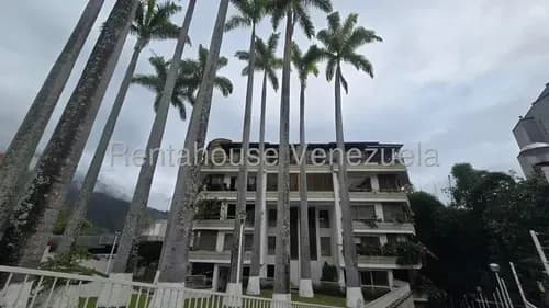 Gustavo 26-5631