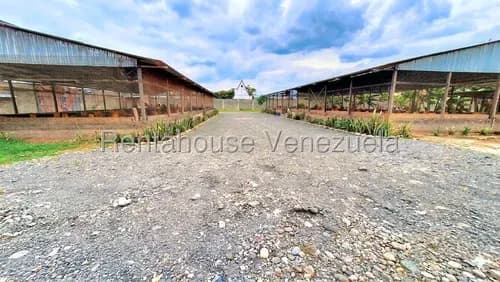 Invertir En Futuro Cercano Emprender Con Este Local Comercial) En Venta En El Mayal Nz* 26-17463