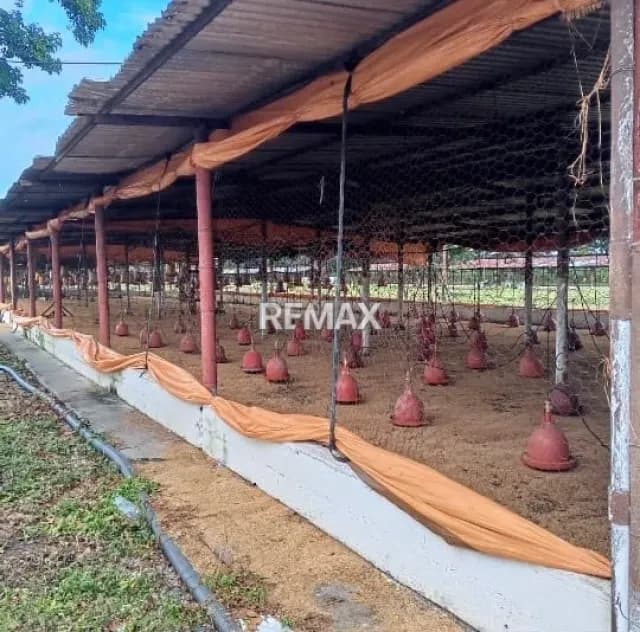 EN VENTA GRANJA AVICOLA VIA MIJAGUITO-PORTUGUESA