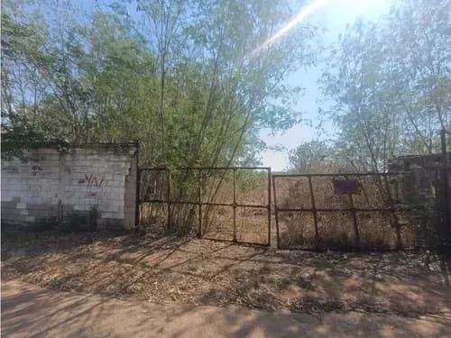 Terreno En Venta En Mariara Municipio Diego Ibarra Ajb-9791975