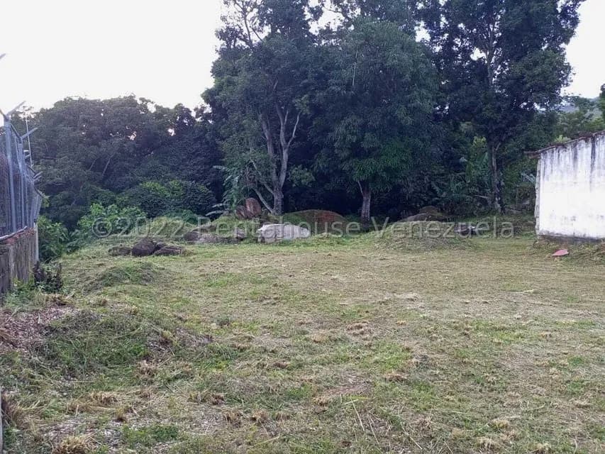 Terreno (Comercial) en Venta en El Limon, Aragua
