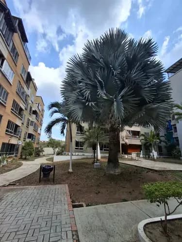 Josseyris Jimenez Vende Apartamento En San Diego Paso Real