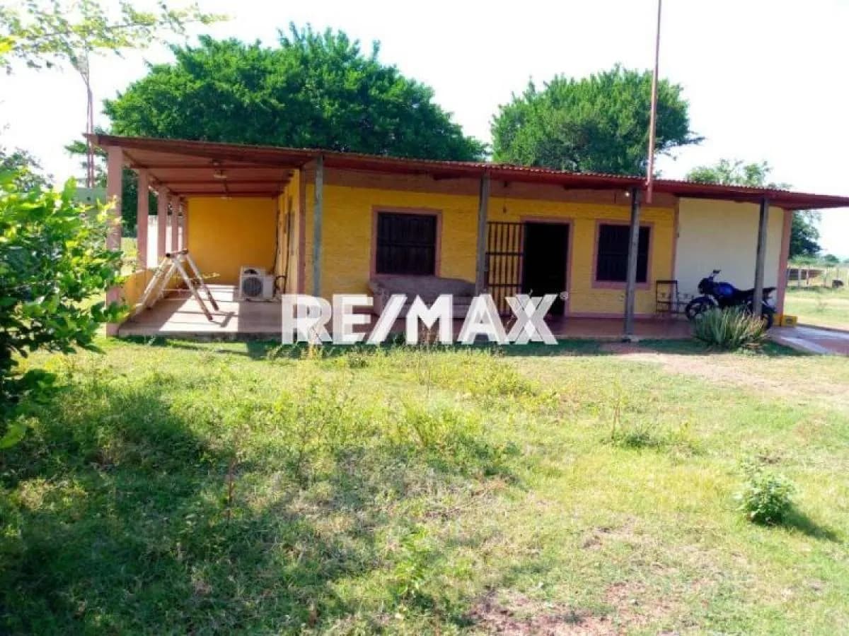 En Venta Finca Las Estefanias, Sector Vijaguita. Carretera Nacional Falcon - Zulia