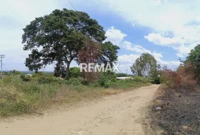 Terreno en venta en sector El Paramito de Sabana de Mendoza, municipio Sucre del edo. Trujillo, Valera, Trujillo, VEN - $33k