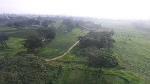 Finca En Bejuma, 58 Ha, 95% Plana En Bejuma Gg