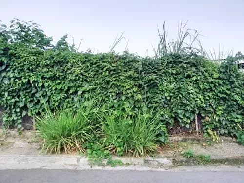 Vendo Parcela De Terreno De 809 M2, A Pie De Calle, Ref. 18.000 - San Pedro De Los Altos