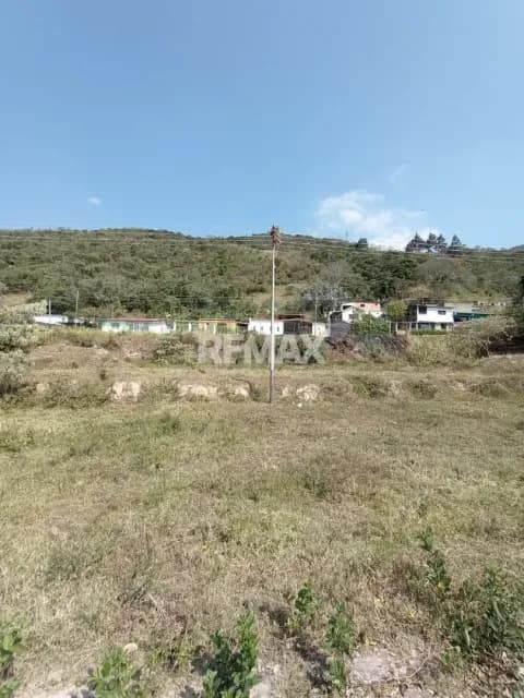 Parcela en Venta Palmira