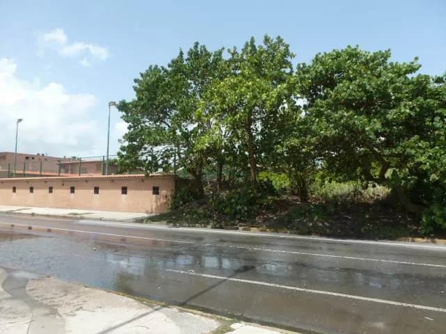 Terreno (Residencial) en Venta en Ciudad Balneario Higuerote, Miranda