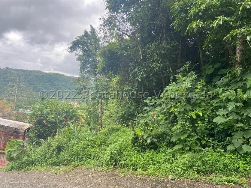 Terreno (Residencial) en Venta en Tusmare, Distrito Metropolitano