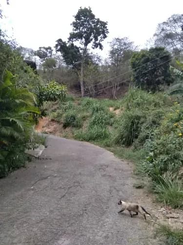 Terreno En Venta El Hatillo. Mg 30