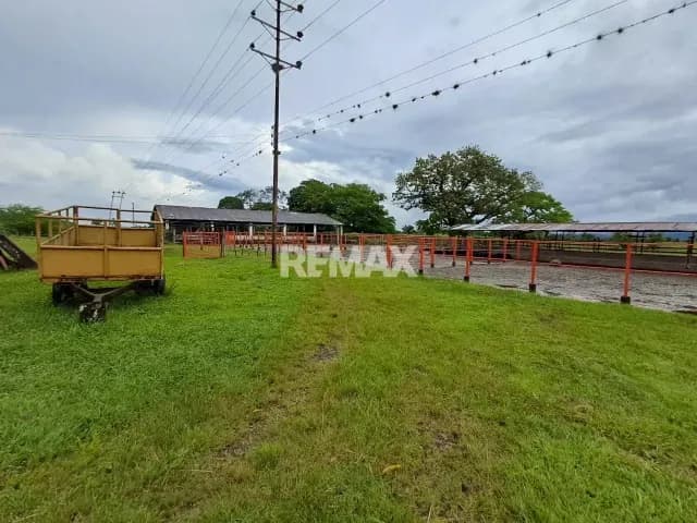 SE VENDE FINCA EN SANTO DOMINGO
