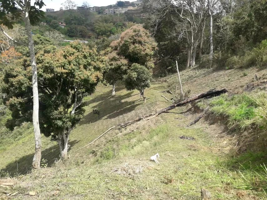 Terreno (Comercial) en Venta en Oripoto, Distrito Metropolitano