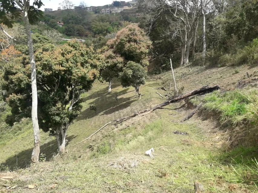 Terreno (Comercial) en Venta en Oripoto, Distrito Metropolitano