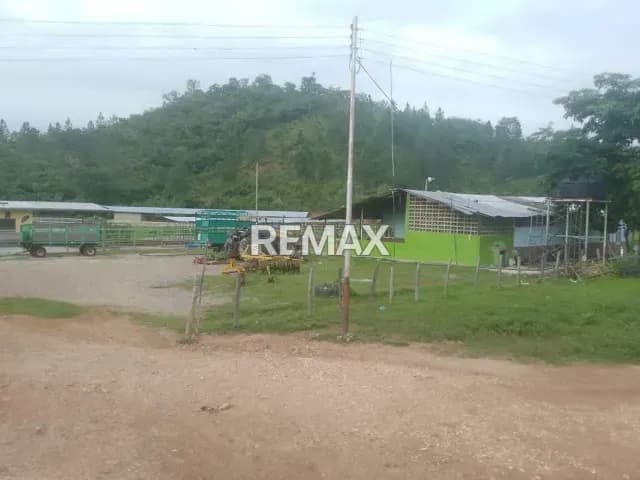 Venta de Finca 330 ha todo incluido San Carlos Edo Cojedes