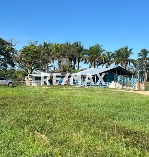 En venta finca de 68 has, vía la gabarra , Santa Bárbara