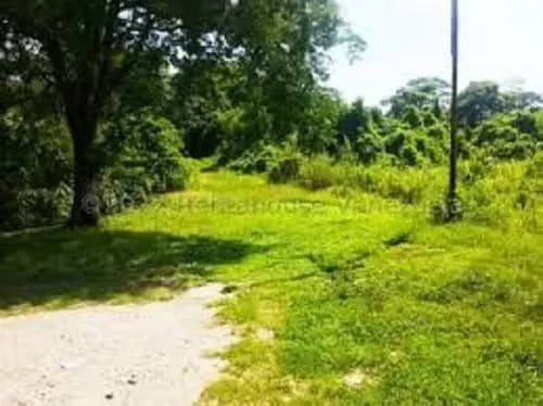 Terreno En Venta Puerto Encantado Zt