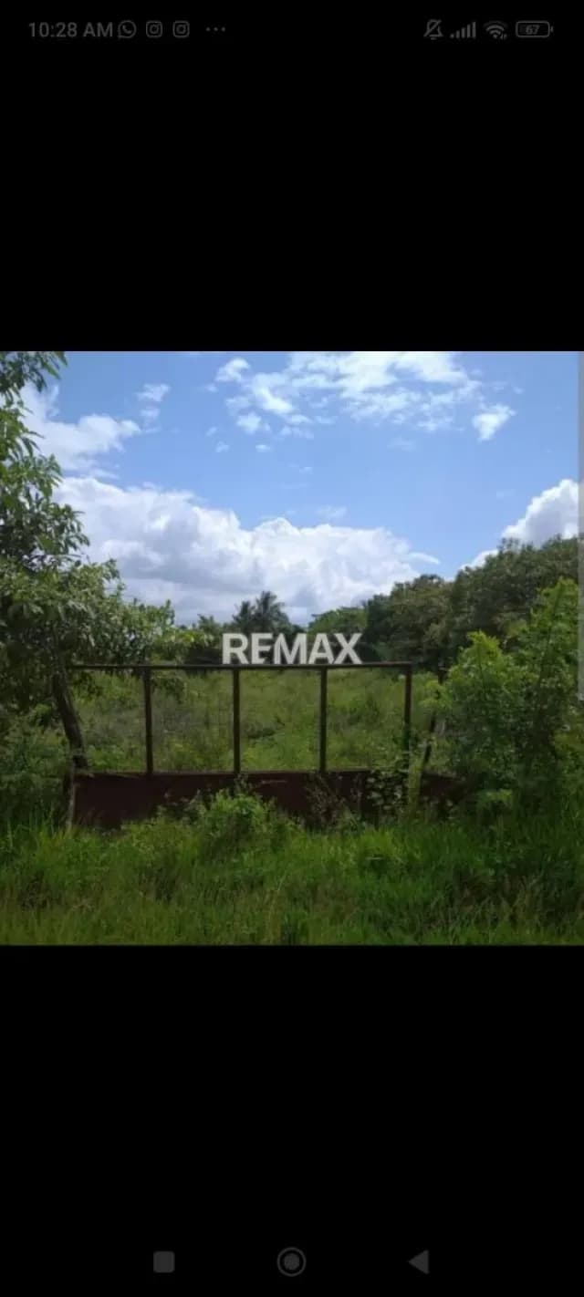 SE VENDE TERRENO EN PREGONERO