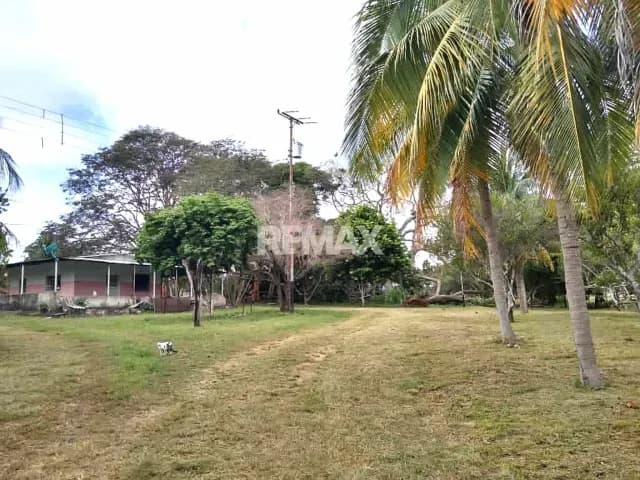 Finca Agrícola y Pecuaria en Venta, Carretera Punta de Mata - Santa Bárbara, Monagas