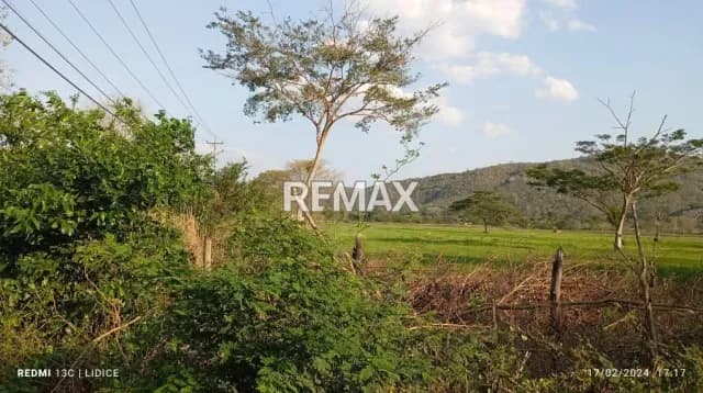 Venta terreno El Mayal