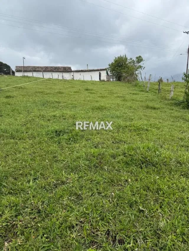 VENTA DE TERRENO EN MONTE CARMELO