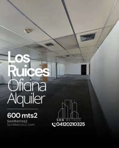 Oficina Alquiler Los Ruices 600 Mts2. Sonmetros2 B-9qnx 0306