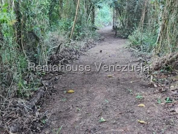 Terreno (Finca) en Venta en Gavilan, Distrito Metropolitano