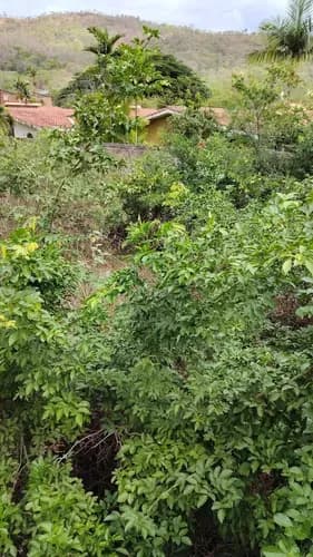 Venta De Terreno En San Diego Sector El Polvero Vv20