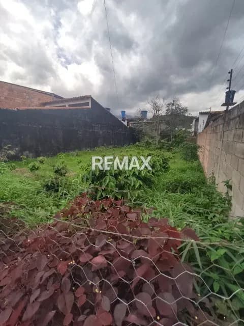 EN VENTA TERRENO NRO. 2 a pie de calle Av. Sucre entre calles 4 y 5 Cordero