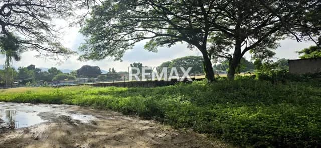 SE VENDE TERRENO EN YAGUA, GUACARA