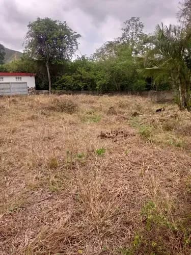 Py 325383 Terreno En Venta En Carialinda Con Un Galpón De 170 M Aproximadamente