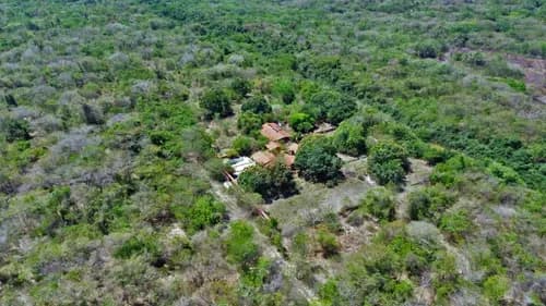 Lote De Terreno 150 Hectáreas En Higuerote. Negociable. Pf Ljl