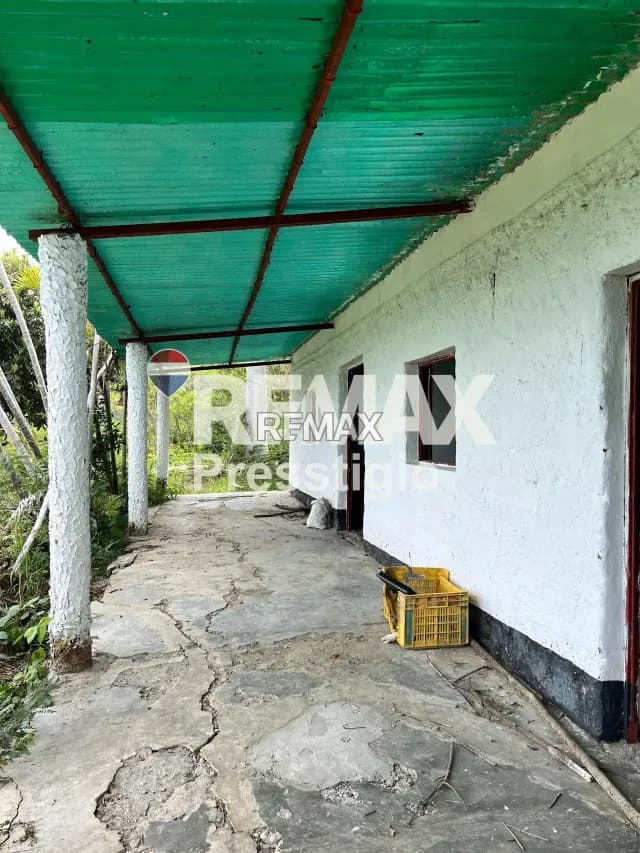Granja Agricola en Venta