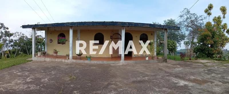 Amplia Finca En Venta, Ubicada en el Caserío Sabaneta, parroquia Chiquinquira - Trujillo Capital.