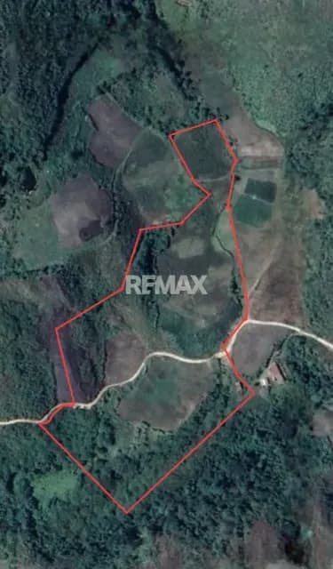 La Finca San Isidro Cuenta con 8.9 hectáreas A LA VENTA