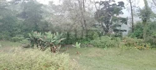 Venta De Terreno El Junquito 18.100 Mts Ideal Para Desarrollo Turistico