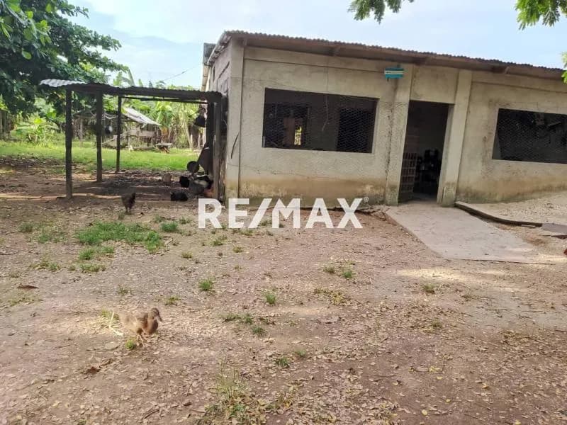 VENTA DE FINCA VIA LA PEDRERA SECTOR EL TALADRO
