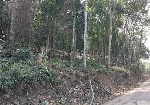 Ai-1944-001 Vendo Amplio Terreno En El Sector Chuponal En El Poblado De La Entada, Naguanagua. Edo. Carabobo. Venezuela.