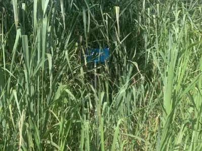 Parcela en Venta