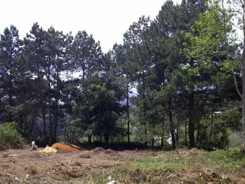 Oportunidad Magnifico Terreno Residencial En Urbanización El Placer