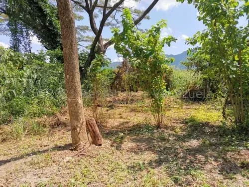 Adquiera Terreno Con Gran Potencial Para Construcción, Comercial O Residencial, Ubicado En Pleno Centro Del Pueblo De San Diego. Visitelo Y Oferte.