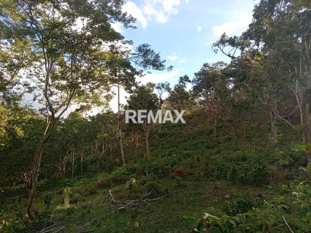 Se vende terreno en la aldea tampacon