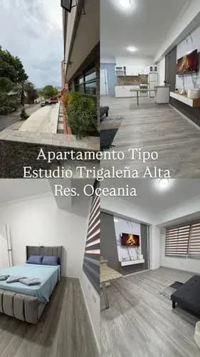 Apartamento Tipo Estudio