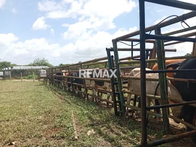 EN VENTA FINCA AGROPECUARIA, AVÍCOLA Y PISCÍCULA EN AGUASAY, ESTADO MONAGAS.